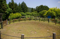 高麗石器時代住居跡