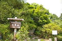 天覧山