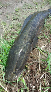 DCF00026.jpg