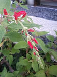 ed46073e.JPG