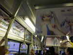 IMGP0159.JPG