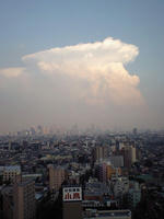CA345586.jpg