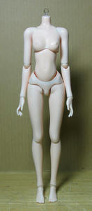 sotai01