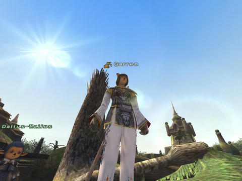 Ff11 スキル上げと証取り Blindmaceは二度死ぬ
