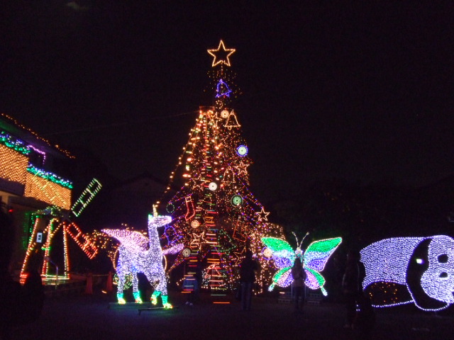 画像ファイル "http://blog.cnobi.jp/v1/blog/user/4b0d4ae37b6778ee69f95828ea26f587/1198590038" は壊れているため、表示できませんでした。