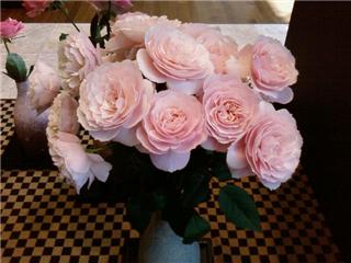 http://blog.cnobi.jp/v1/blog/user/4b0d4ae37b6778ee69f95828ea26f587/1210084045