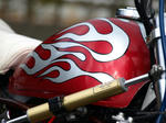 tuck9921.jpg