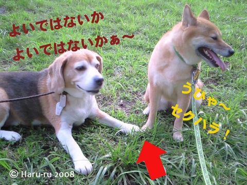 c9d7ede9.jpg