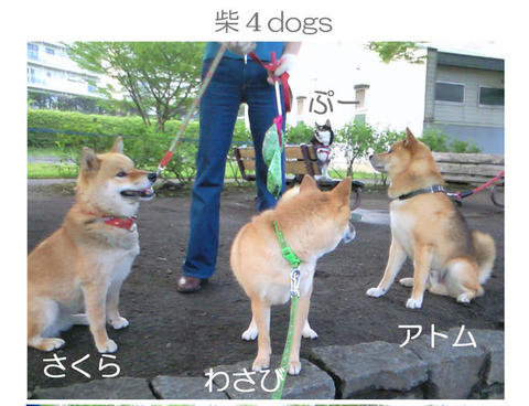 8702687_809489083.jpg