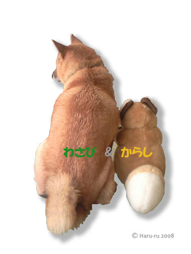 NEC_0011-2-web.jpg