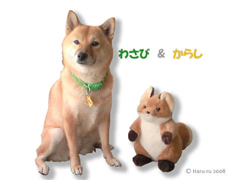 NEC_0009-2-web.jpg