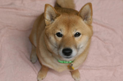 DSC_0117-2-web.jpg