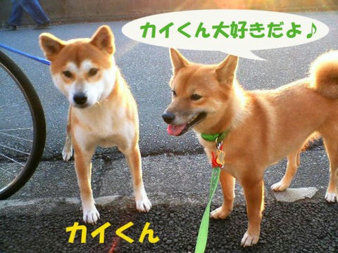 0515537d.jpg