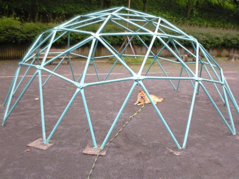 web-NEC_0035.JPG