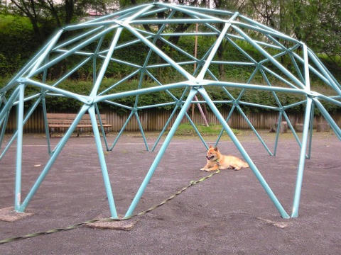 web-NEC_0034.JPG