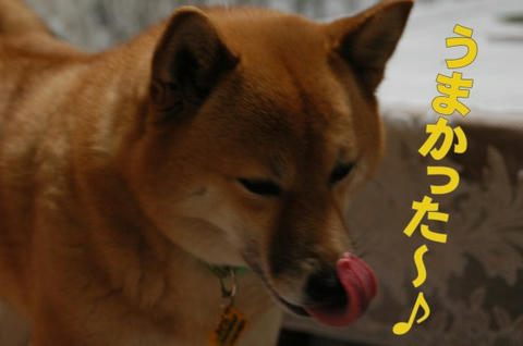 3d4b1b19.jpg