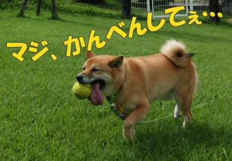 b43994a9.jpeg