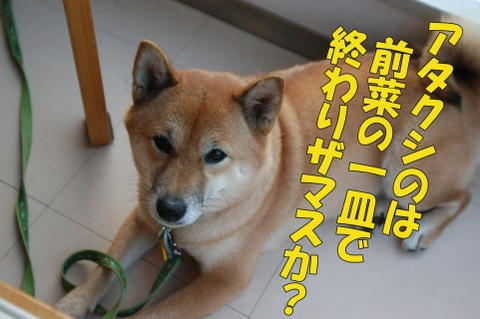 12a65431.jpeg