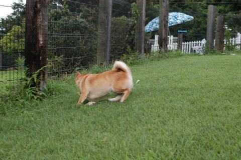50efb0d5.jpeg