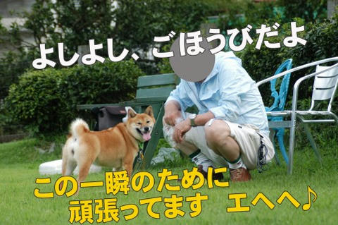 89673dc9.jpeg