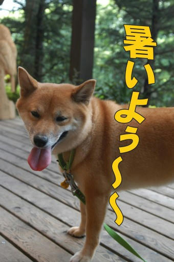 9680a76f.jpeg