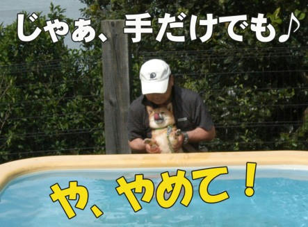 8d260104.jpeg