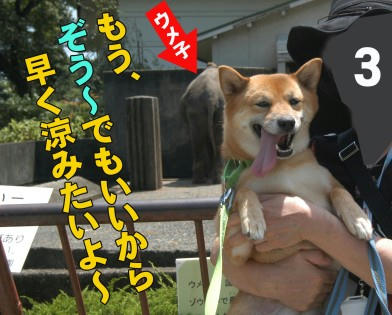 6592b274.jpeg