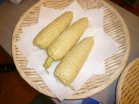 web-P1000058.JPG