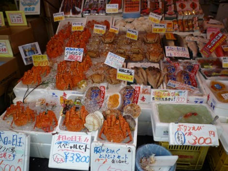 web-P1000097.JPG