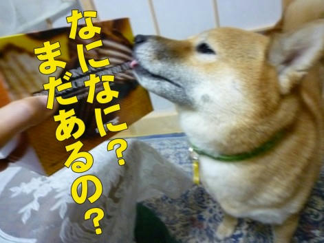 c7186452.jpeg