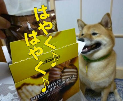 ce41673d.jpeg