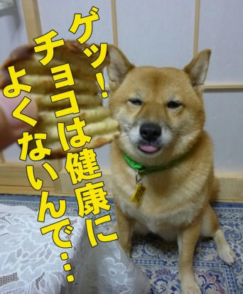 01cbc735.jpeg