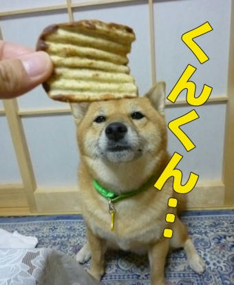 65c25a22.jpeg