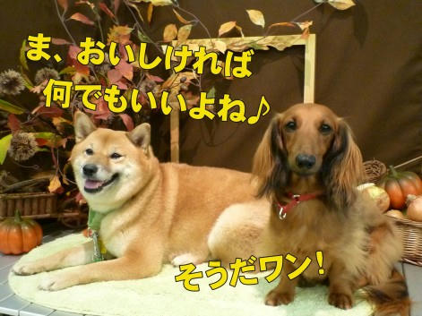2d866343.jpeg