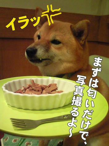 81a1b1c9.jpeg