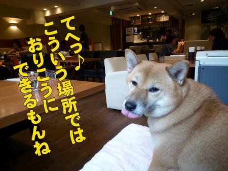 41b92e5f.jpeg