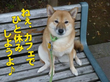 5588421b.jpeg