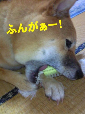 14769d8b.jpeg