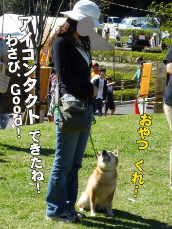 c6055284.jpeg