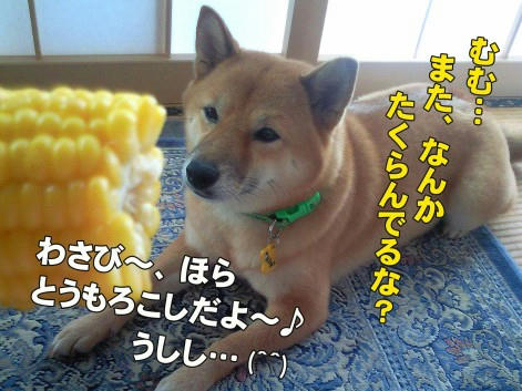 40148ec9.jpeg