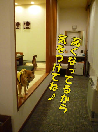 b4e2b614.jpeg