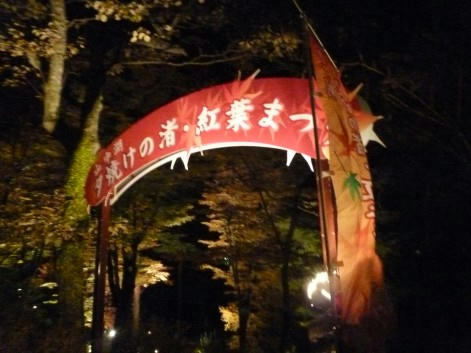 web-P1010643.JPG