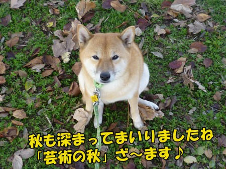 c2a70870.jpeg
