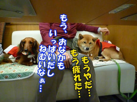 c741a9b6.jpeg