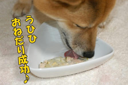 7d172279.jpeg