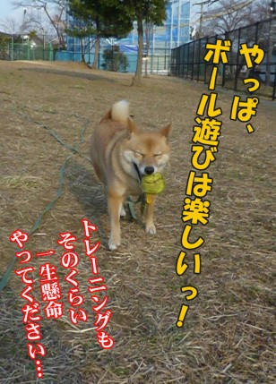 839264a0.jpeg