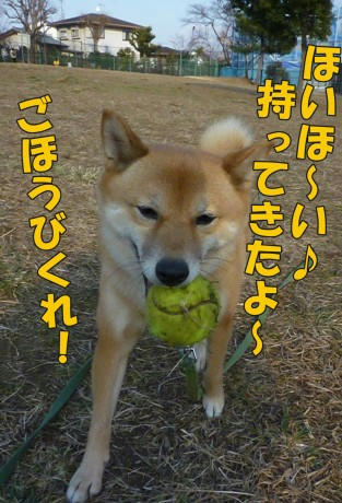 a60032e9.jpeg