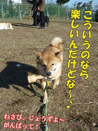 75488ec8.jpeg