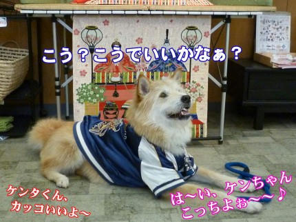 c97706cf.jpeg