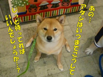 b86b3ae2.jpeg